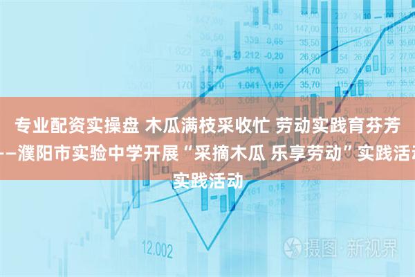 专业配资实操盘 木瓜满枝采收忙 劳动实践育芬芳 ——濮阳市实验中学开展“采摘木瓜 乐享劳动”实践活动