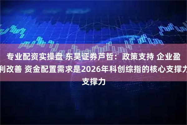 专业配资实操盘 东吴证券芦哲：政策支持 企业盈利改善 资金配置需求是2026年科创综指的核心支撑力